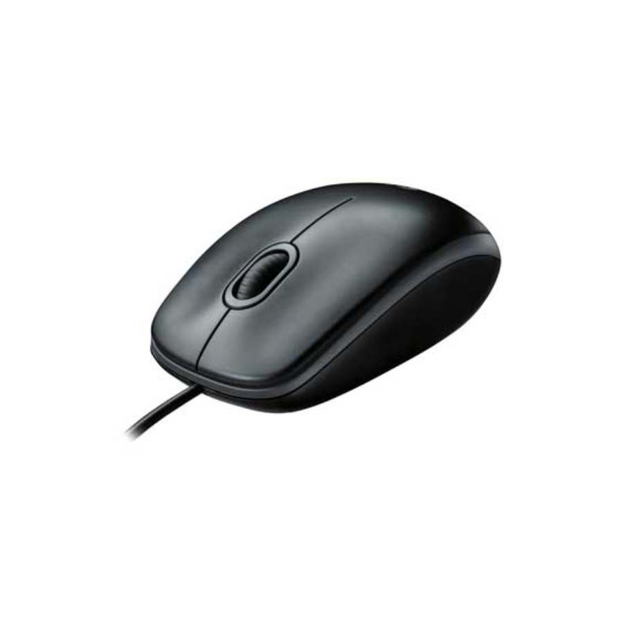 LOGITECH B100 MOUSE