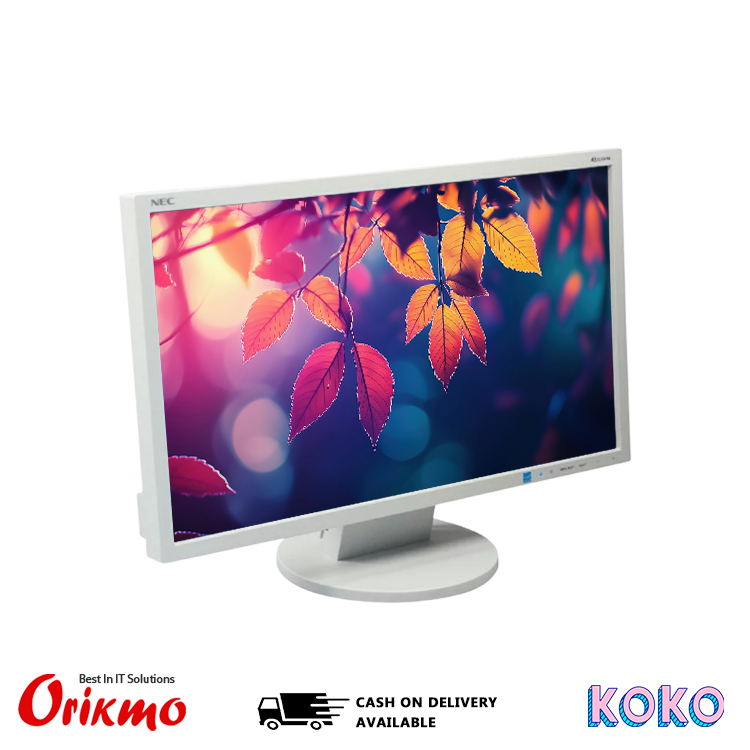 MONITOR 19 WIDE LCD