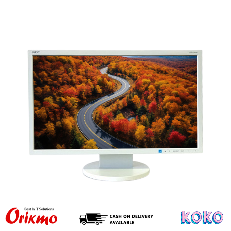 MONITOR 19 WIDE LED