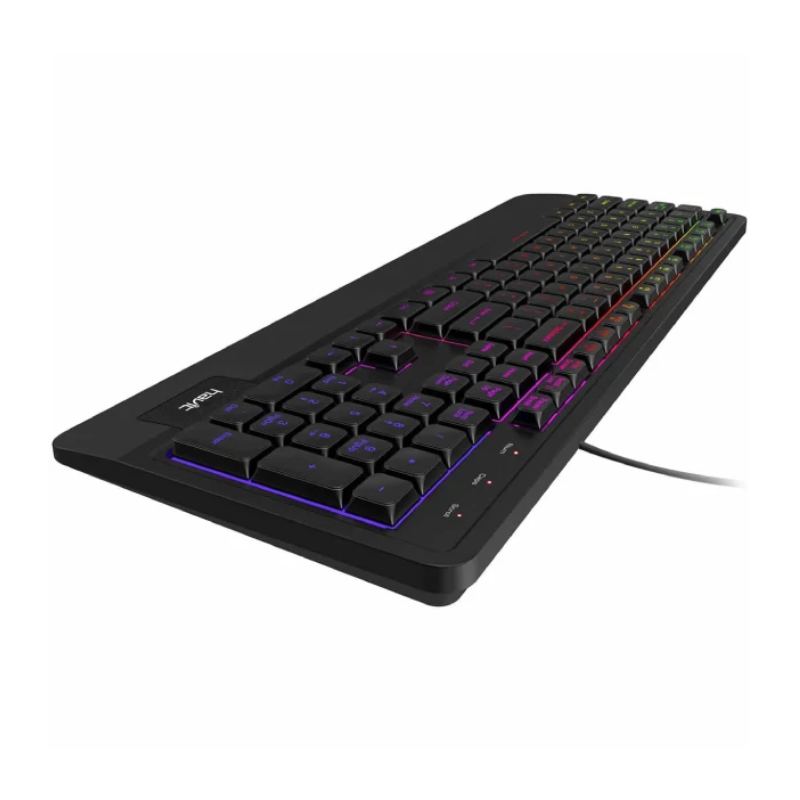 HAVIT KB488L GAMING KEYBOARD